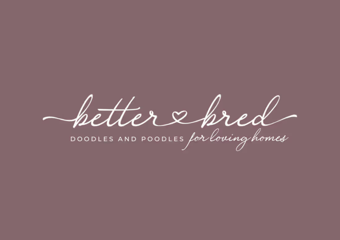 Cover image for Chic & Feminine Brand Design + Strategy for Dog Breeder 