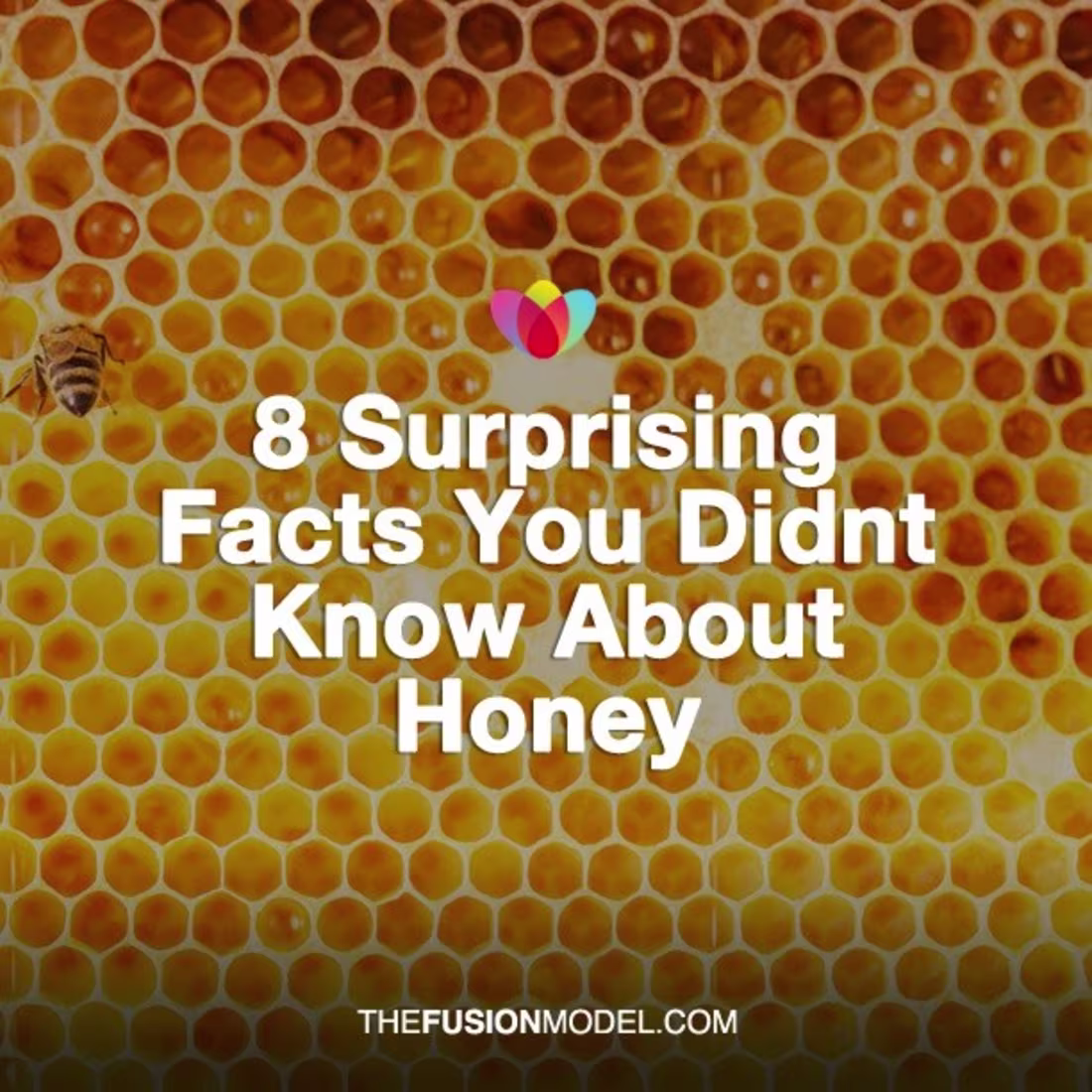 Cover image for Exploring the Health Benefits of Honey
