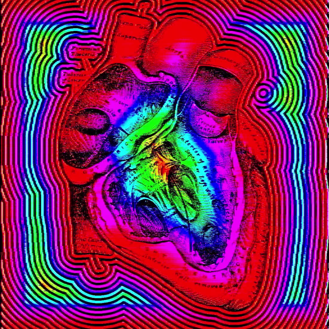 Cover image for These pieces were originally made