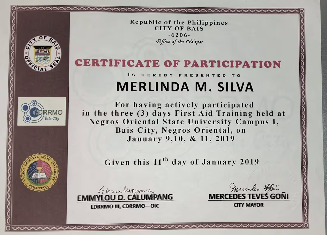 Cover image for Certificate of Participation : First