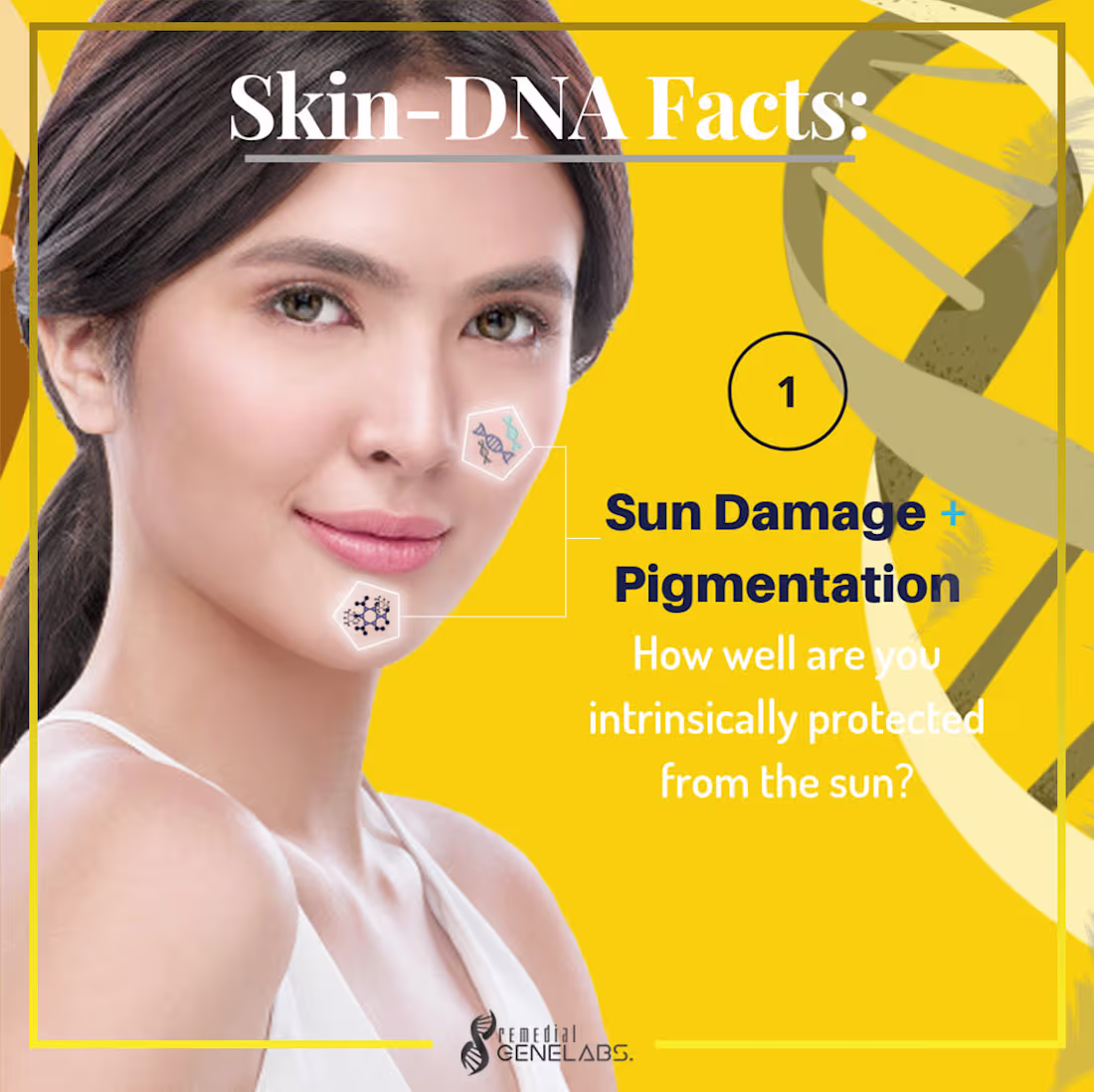 Cover image for SOCIAL MEDIA DESIGN