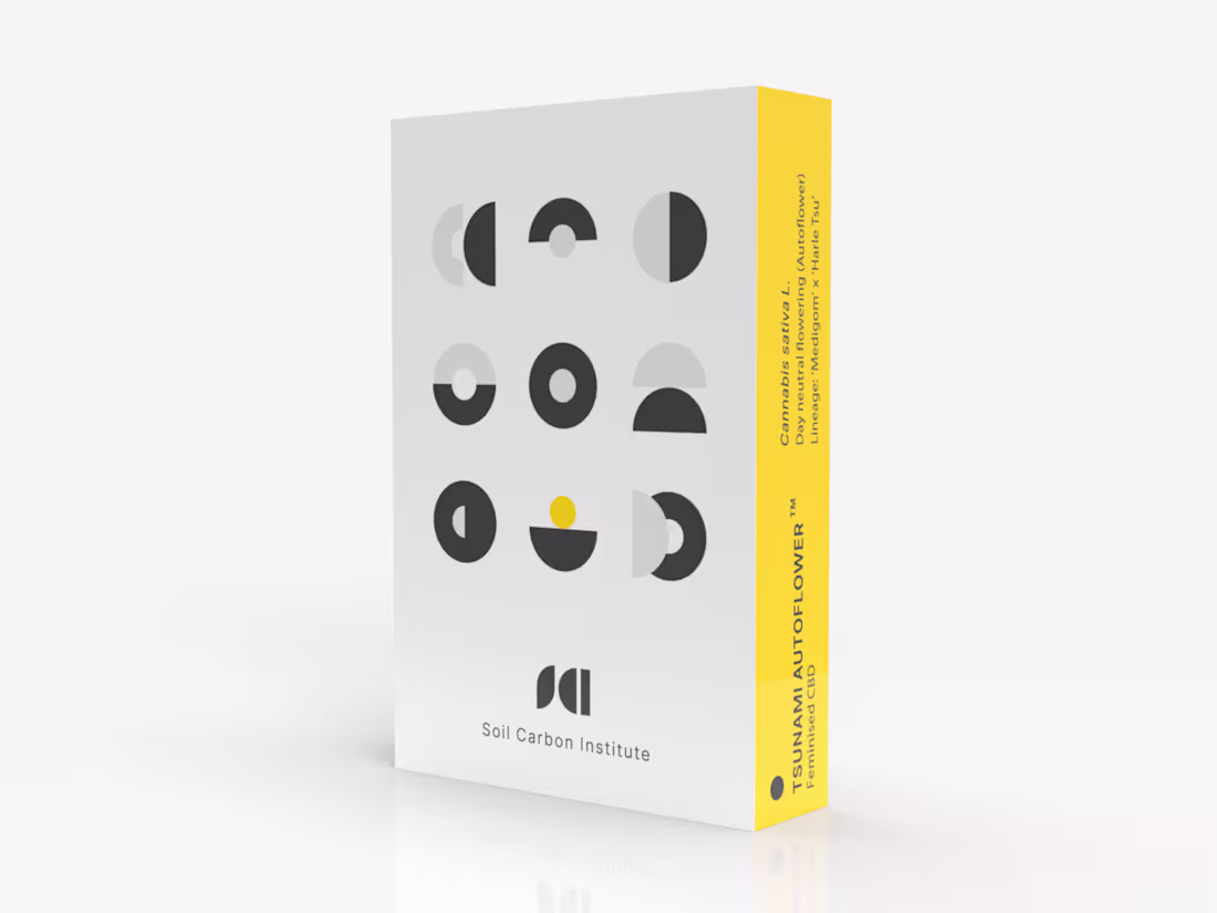 Cover image for SCI Pod Visual Identity & Packaging Design
