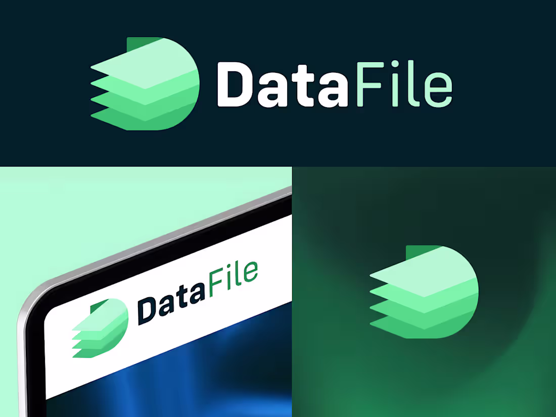 Cover image for DataFile — Brand Identity Case