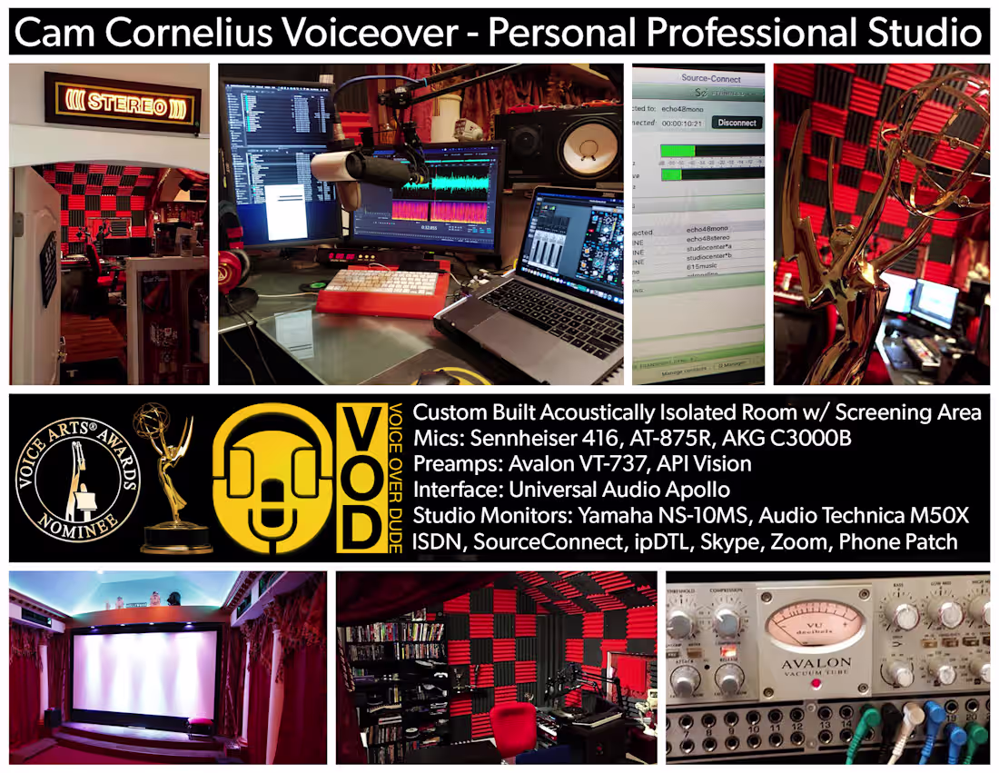 Cover image for Voice Acting