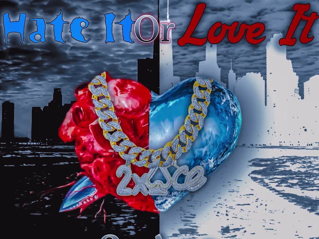 Cover image for Hate It Or Love It