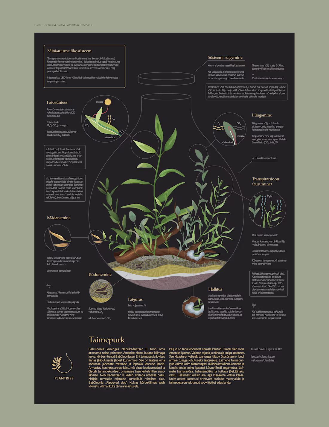 Cover image for Throwback to one of my favorite poster projects. These two i...