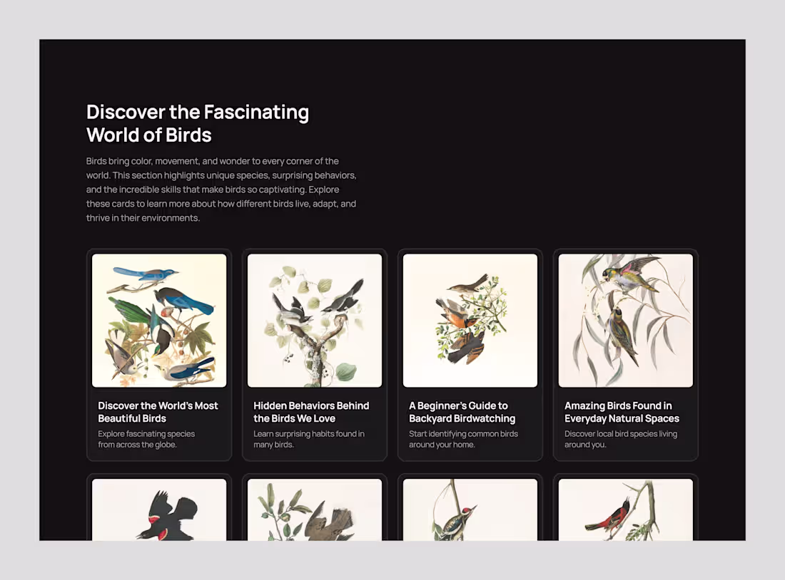 Cover image for Minimal UI cards designed for a nature blog