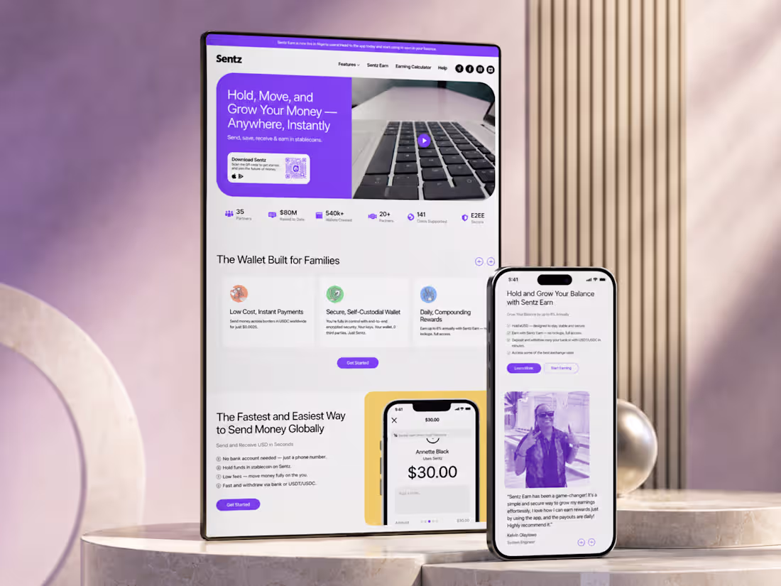 Cover image for Sentz Fintech Landing Page & Webflow Development