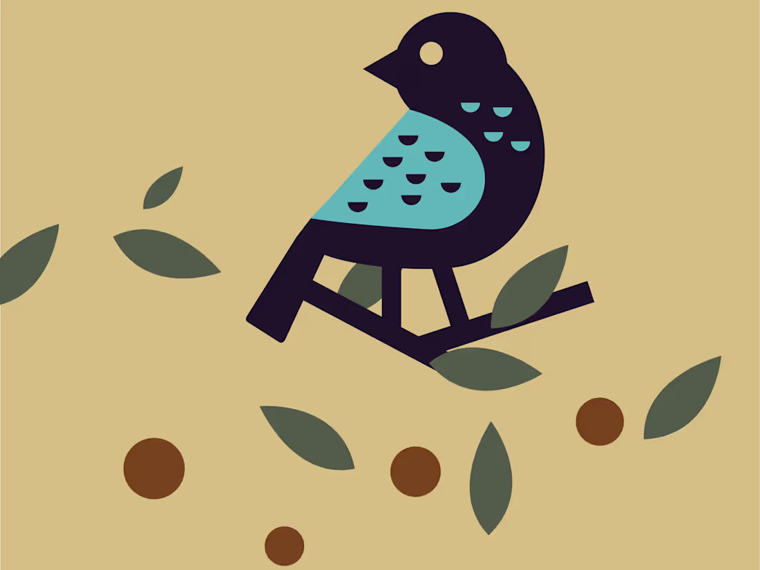 Cover image for A Little Birdy