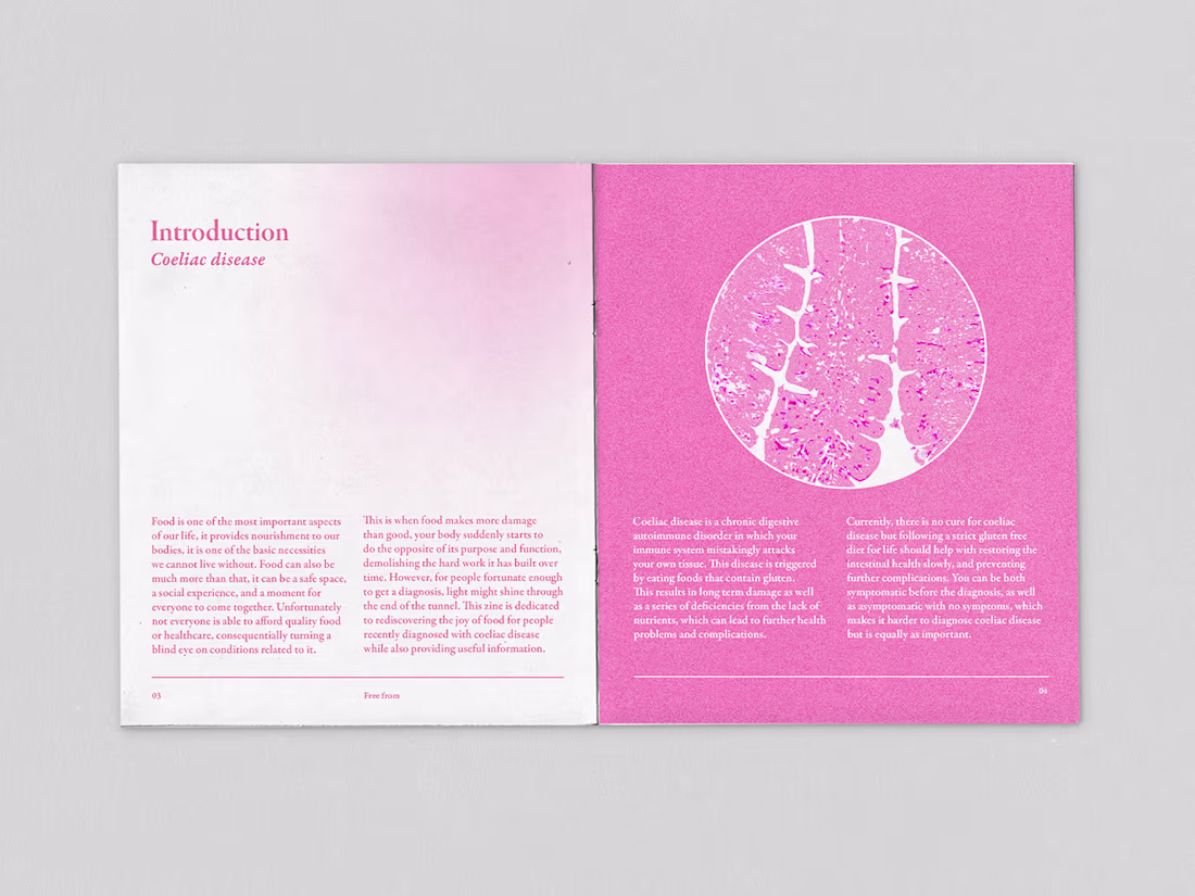 Cover image for Free From - The little celiac guide on Behance