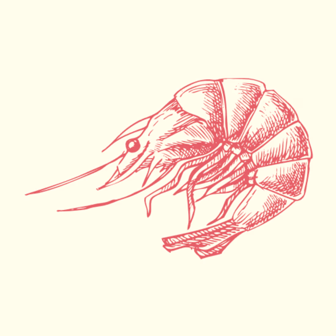 Cover image for Shrimpzine
