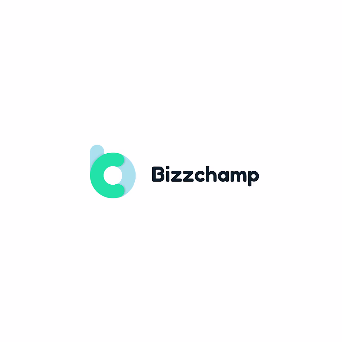 Cover image for BizzChamp LOGO+ Colours & Fonts for website | Visual identity 