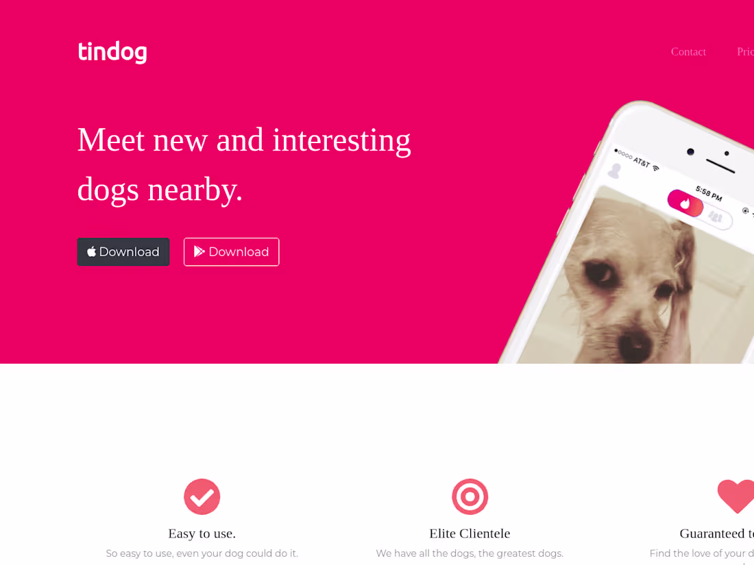 Cover image for Tindog