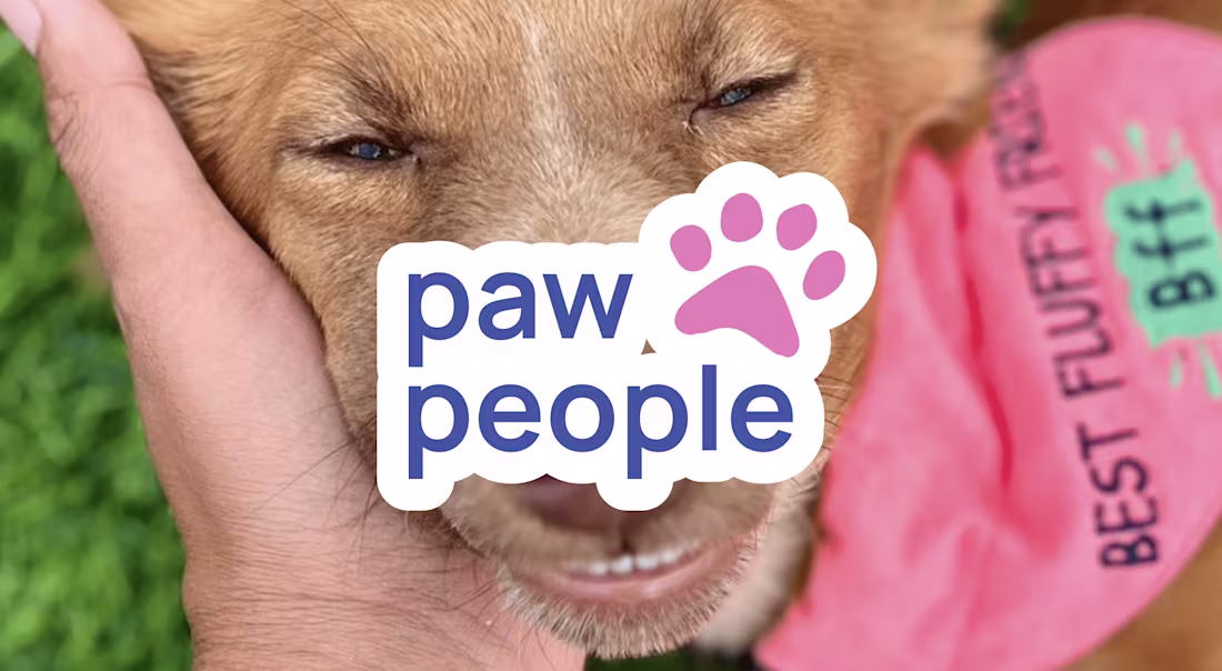 Cover image for Paw People Brand Identity Design - NGO for Dogs