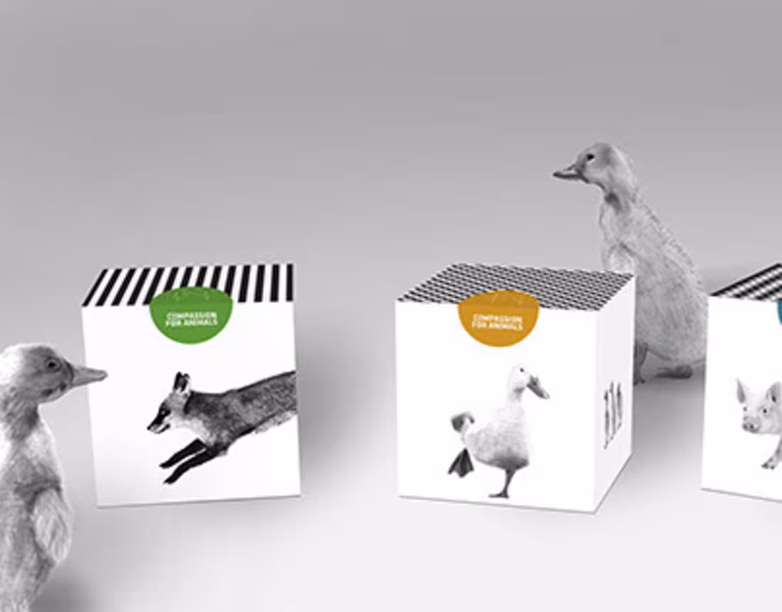 Cover image for Compassion For Animals