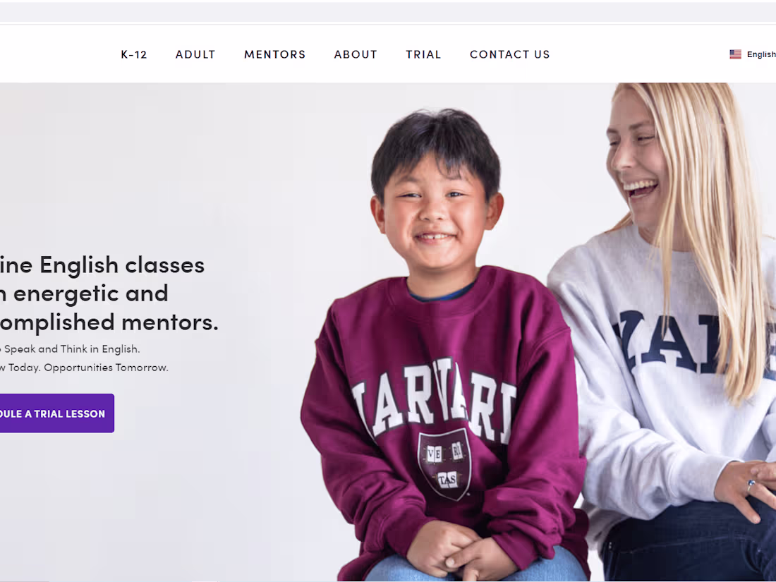 Cover image for Web Designer
