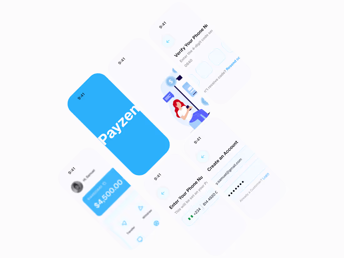 Cover image for Payzen