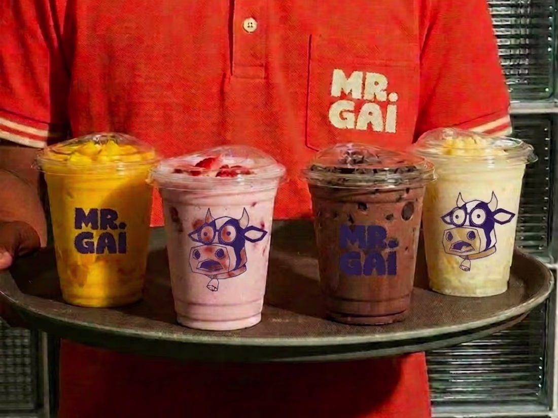 Cover image for Introducing Mr Gai- The Brand.