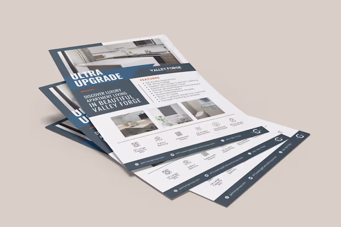 Cover image for Print Designs