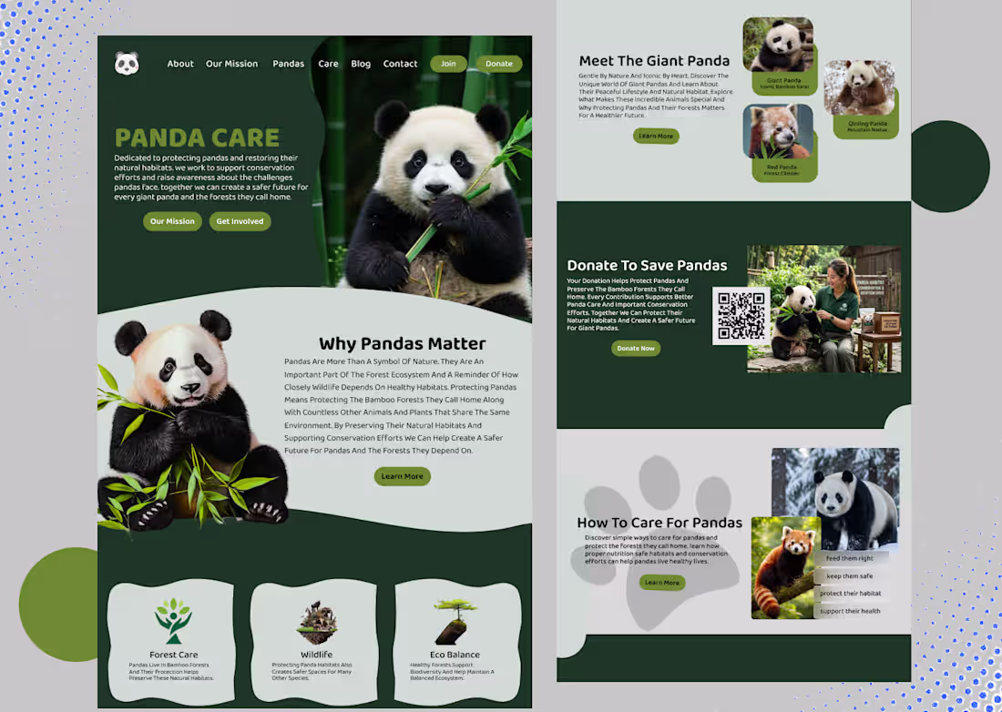 Cover image for PandaCare — Landing Page Design