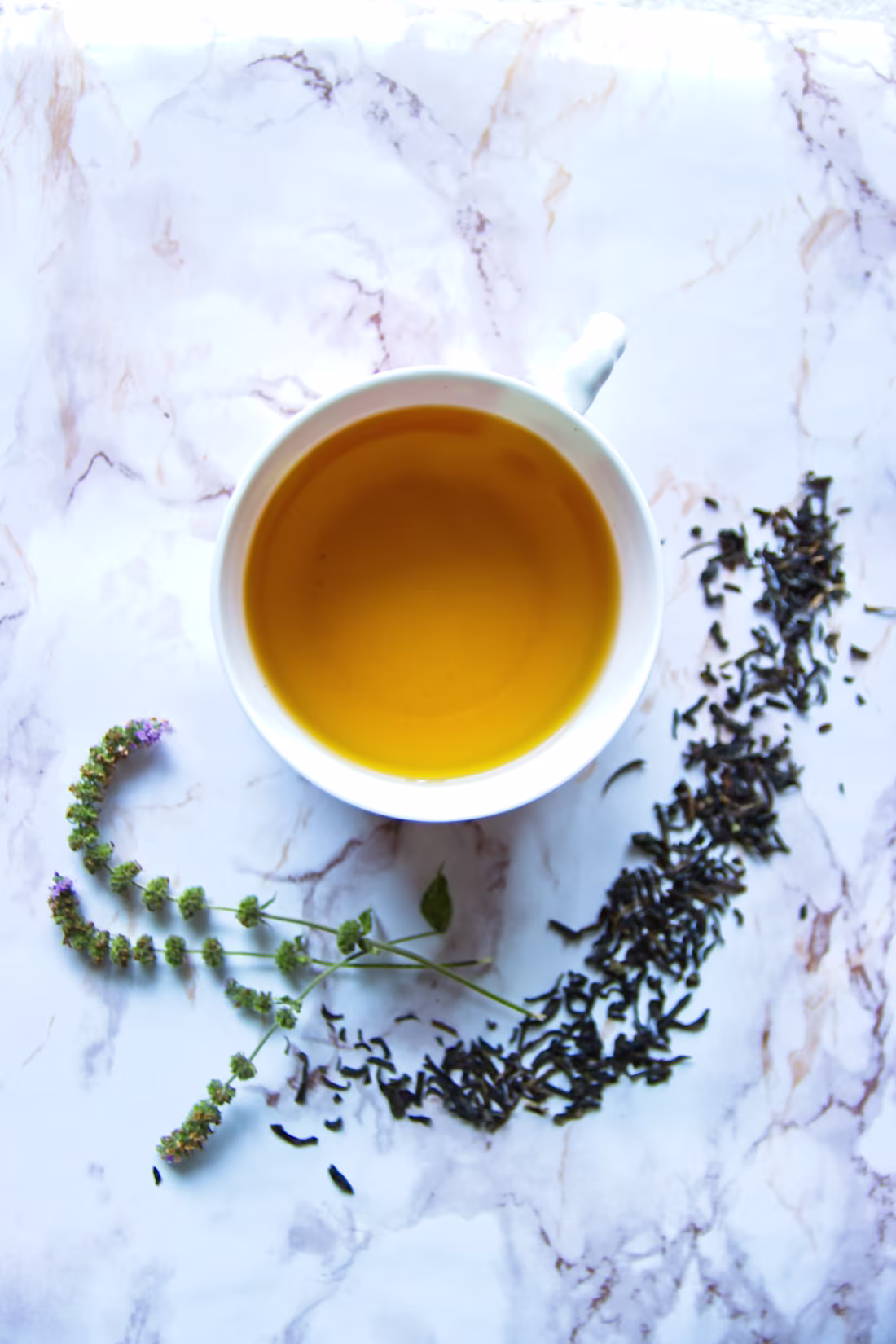 Cover image for Service Advertising / Health & Wellness