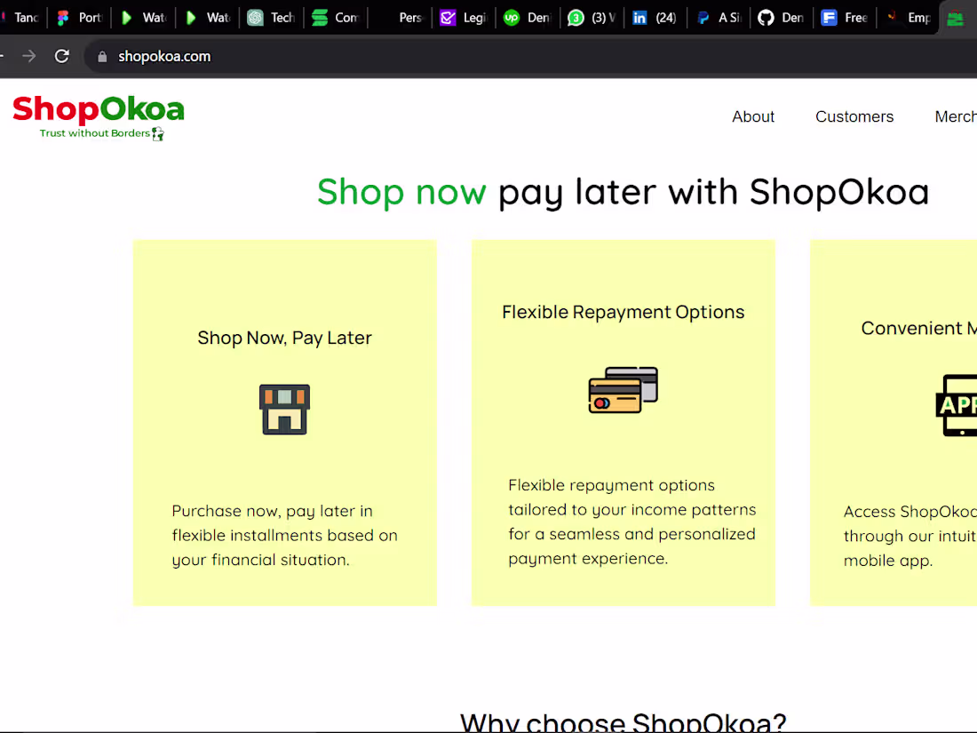 Cover image for ShopOkoa Website