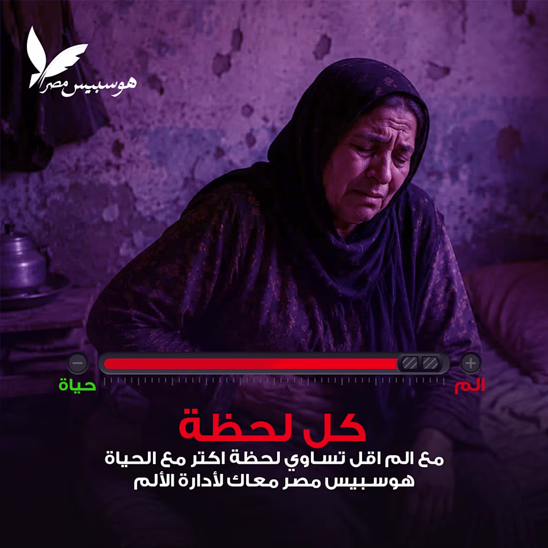 Cover image for Hospice day for Hospice egypt