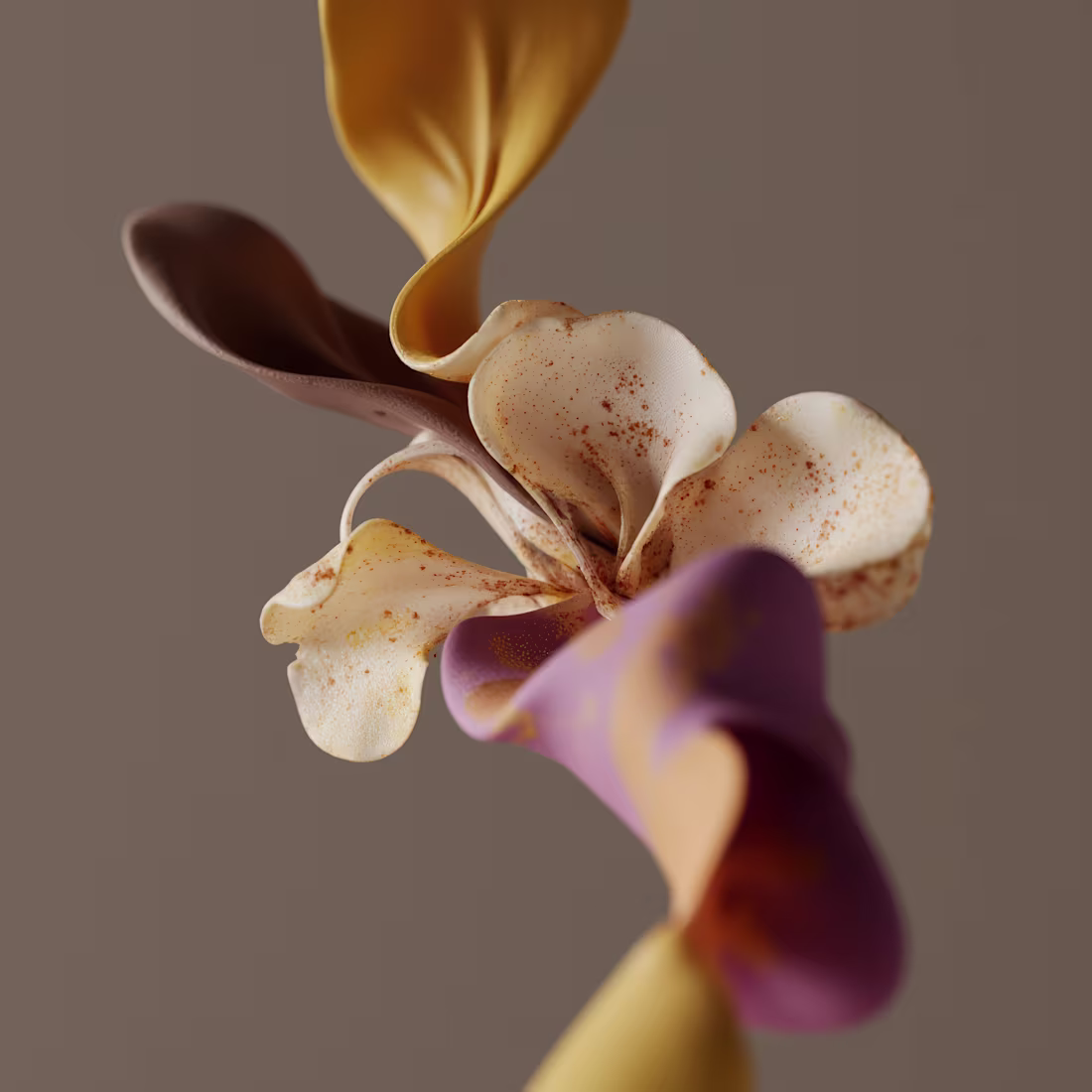 Cover image for Daily explorations within Flux.