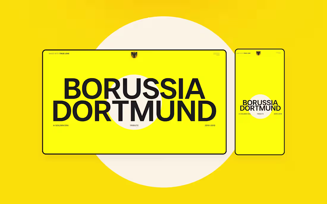 Cover image for BVB Tribute Website Development