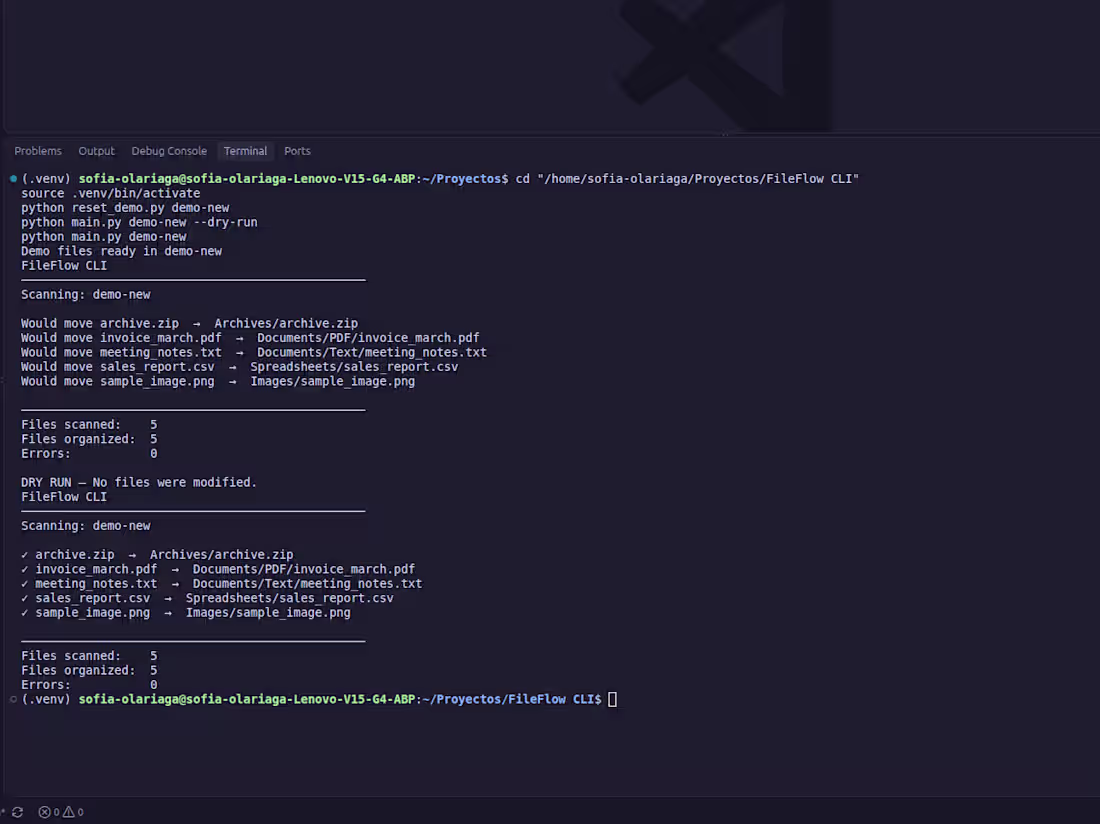 Cover image for Custom Python Automation & Scripts