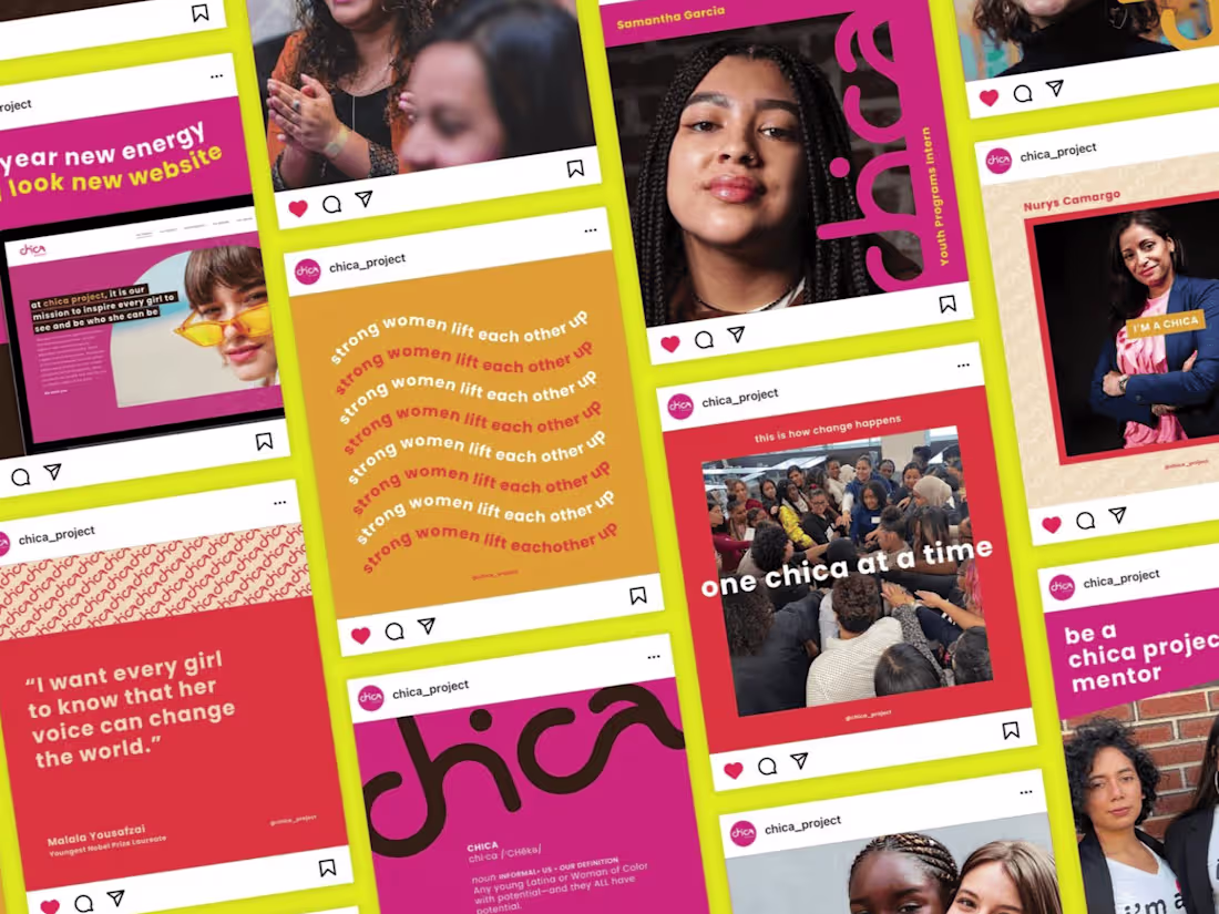 Cover image for Chica Project
