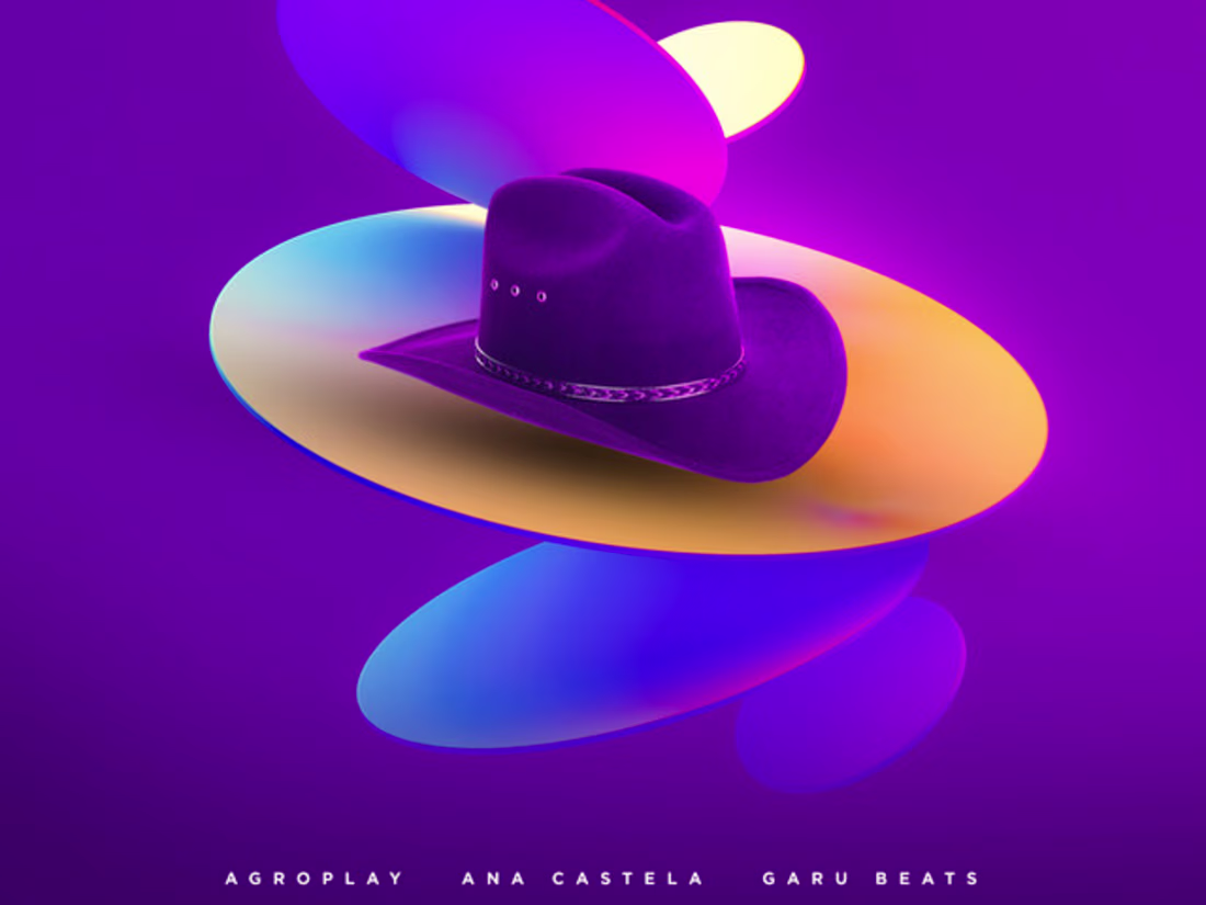 Cover image for Lo-Fi Remix of 'Nosso Quadro' by Ana Castela