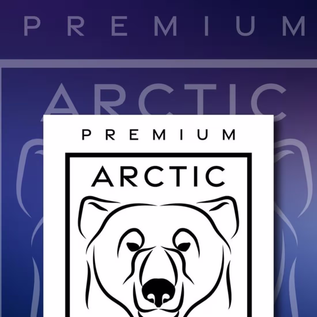 Cover image for Arctic Scoops