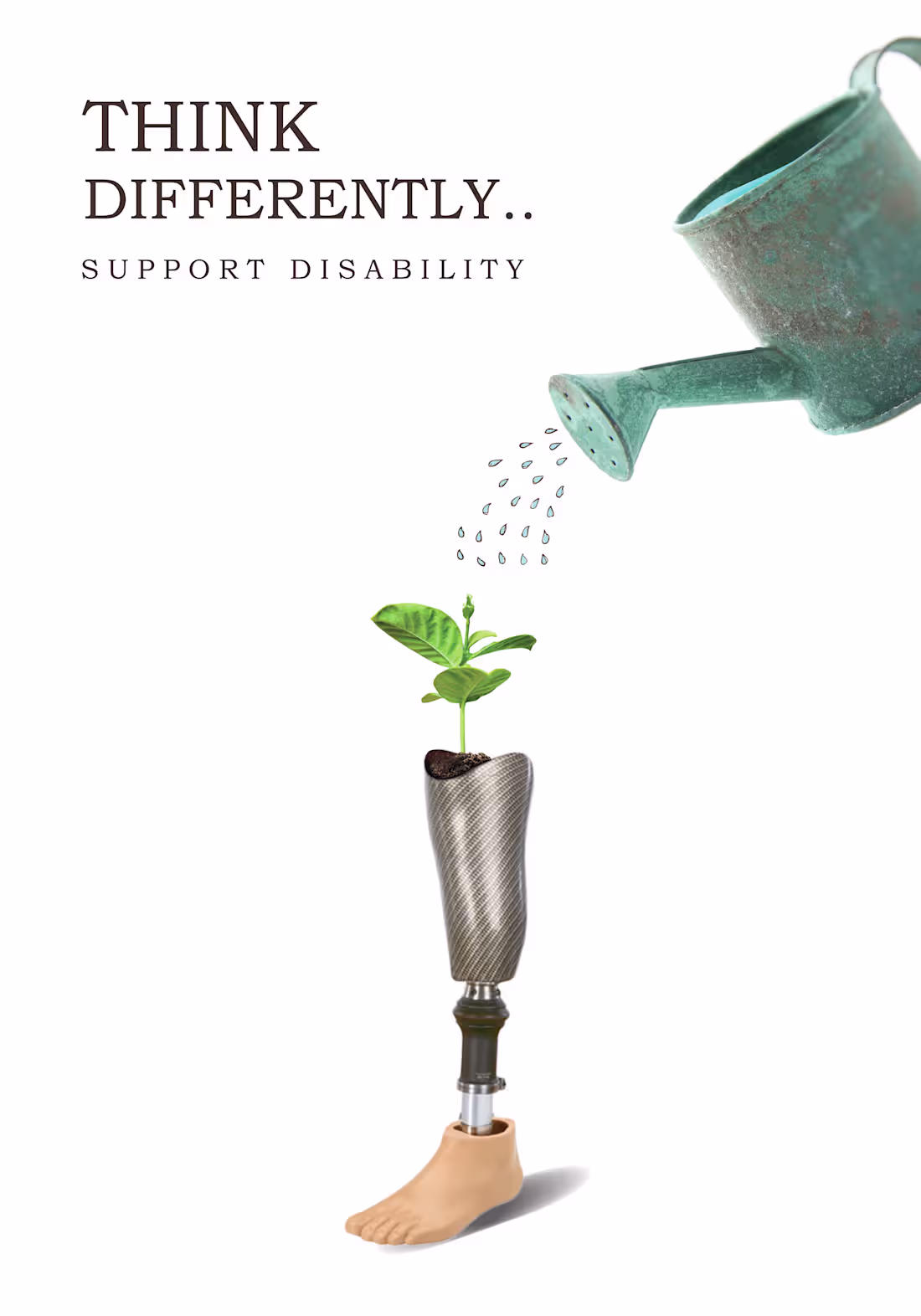 Cover image for To support disability I have