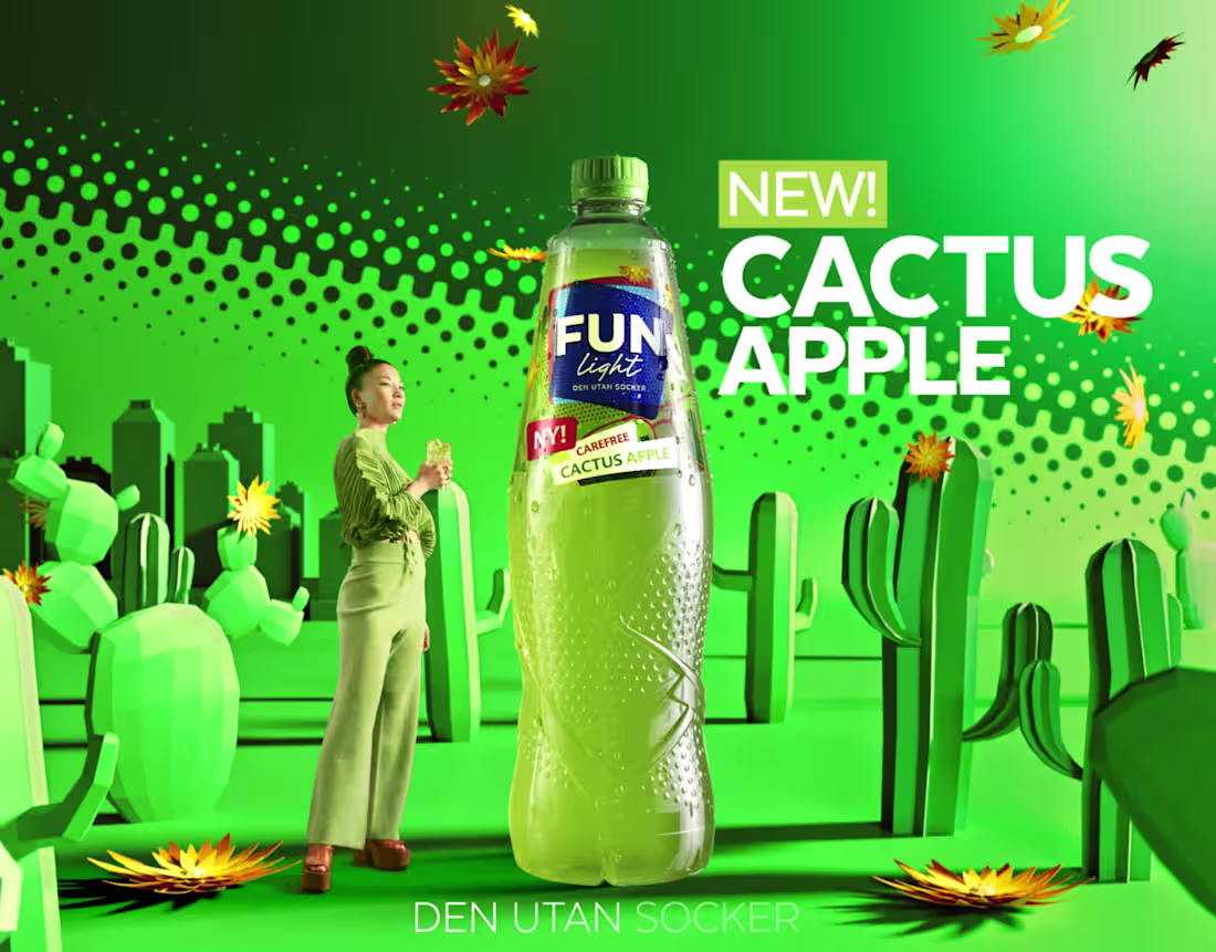 Cover image for Fun Light