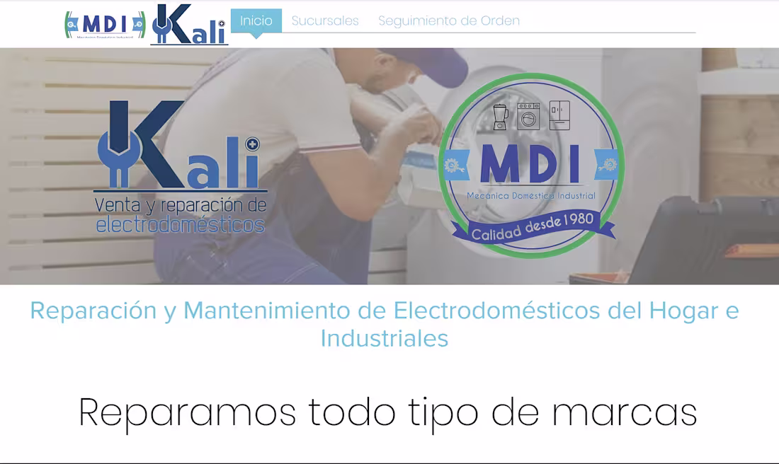 Cover image for Internal Control System for Grupo Vector