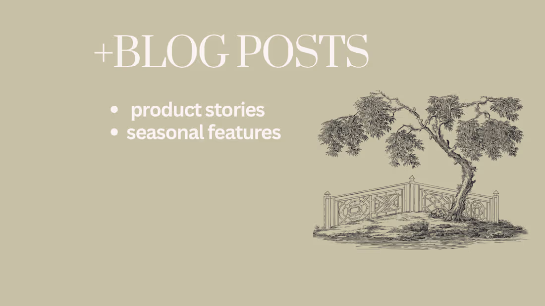 Cover image for Blog Posts & Editorial Content 