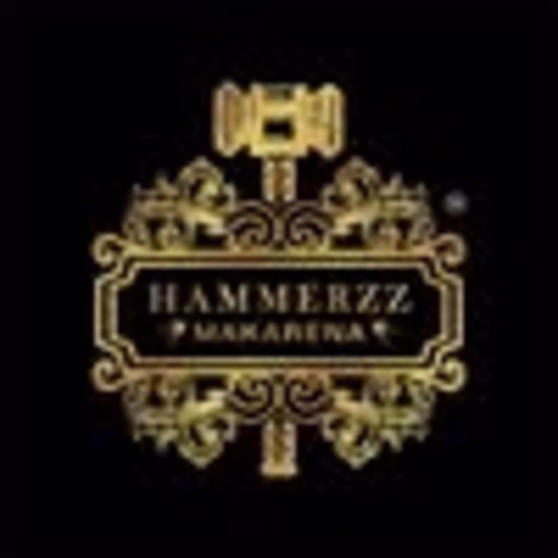 Cover image for Hammerzz - Makarena (@hammerzz.makarena) • Instagram photos and…