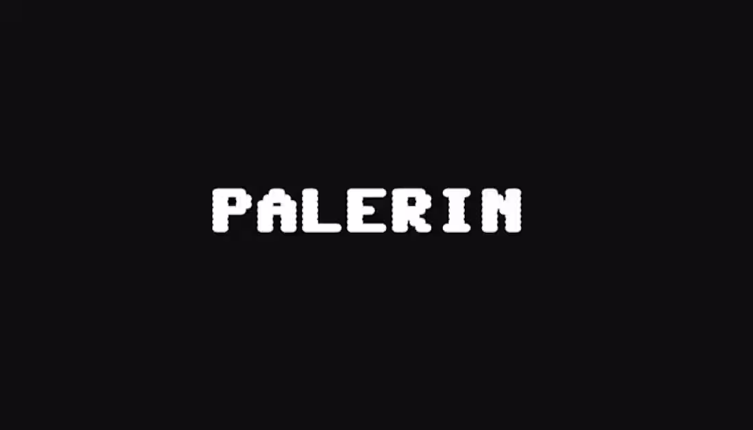 Cover image for Palerin Design Studio