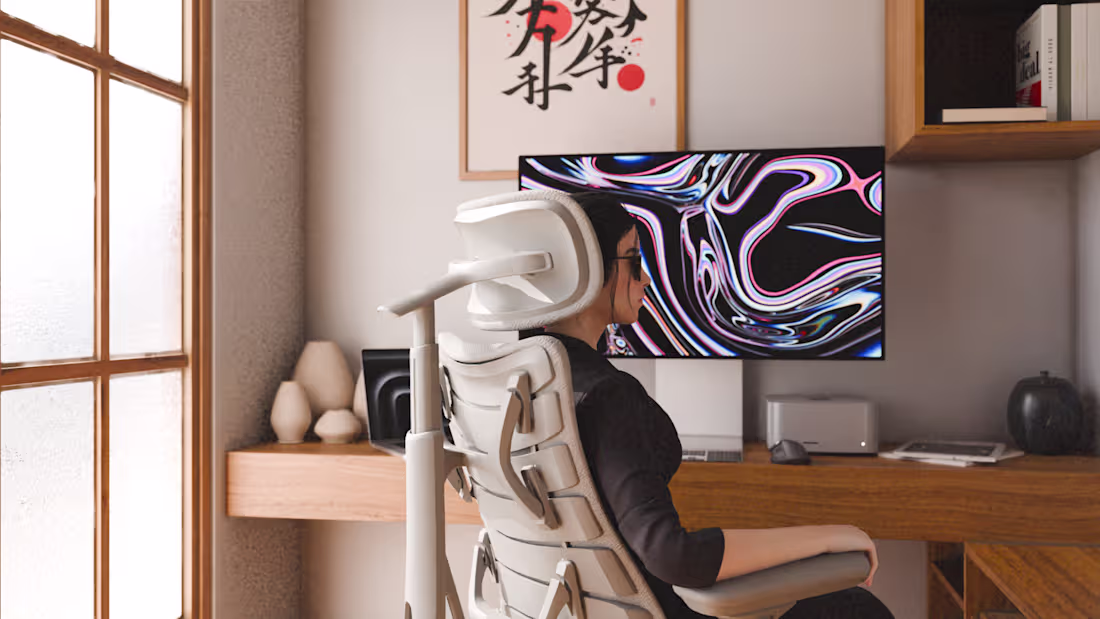 Cover image for :LiberNovo Chair Still Renders