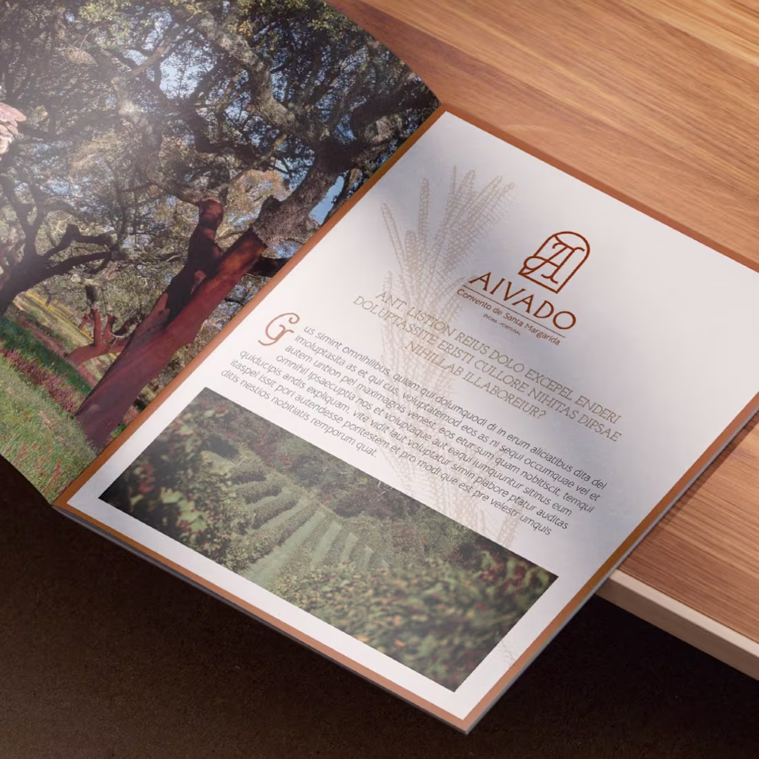 Cover image for AIVADO – CONVENTO DE SANTA