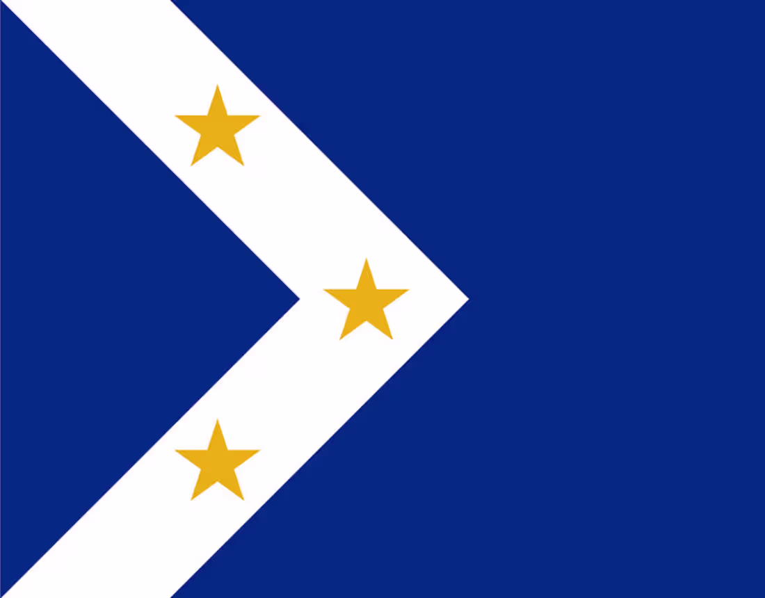 Cover image for Laconia Flag