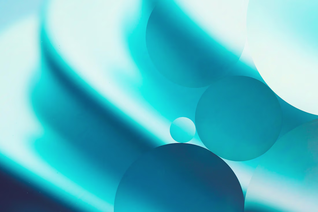 Cover image for SaaS Systems Development