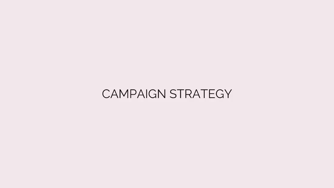 Cover image for Campaign Strategy