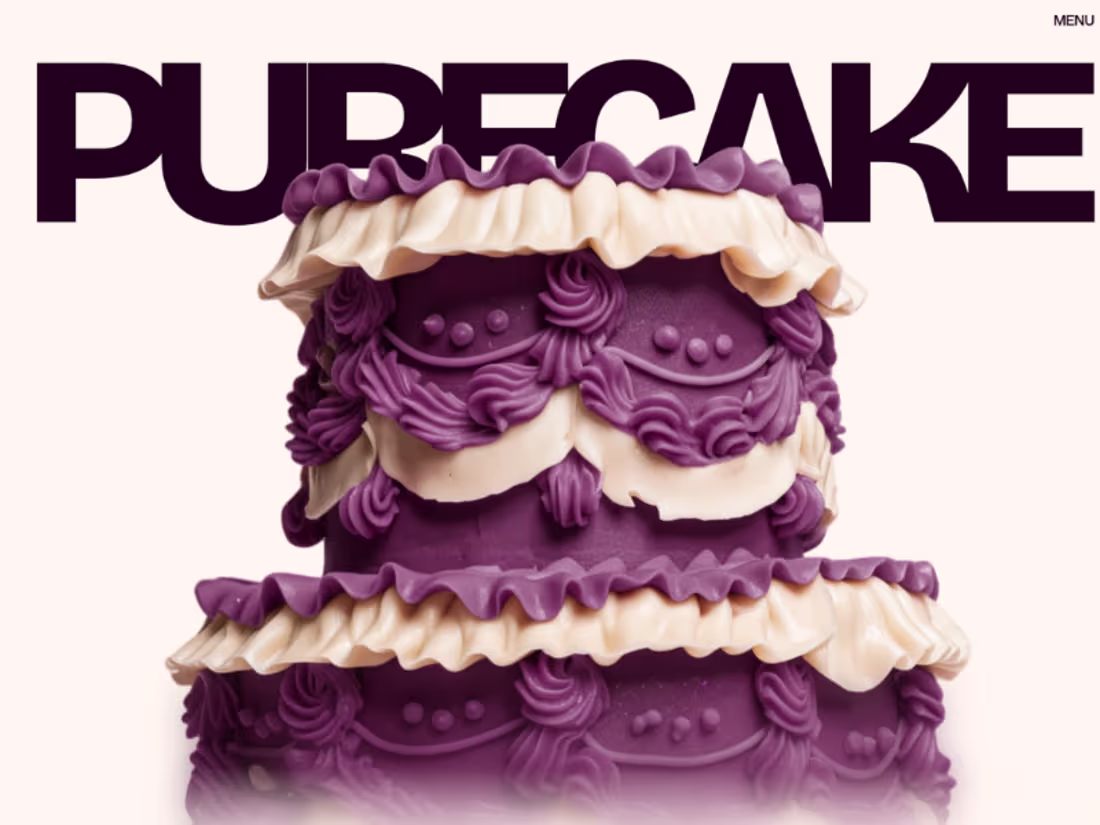 Cover image for This website was designed to