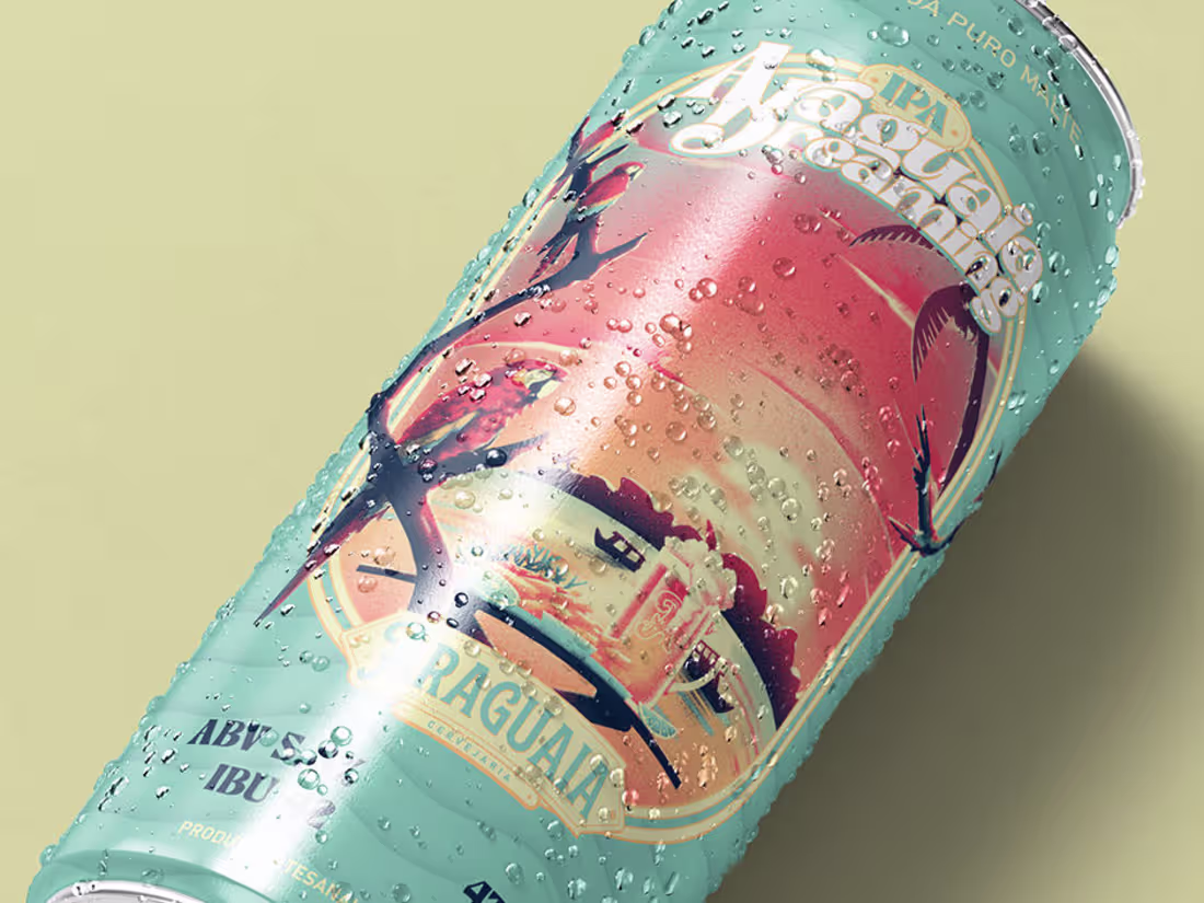 Cover image for Araguaia is a bar and