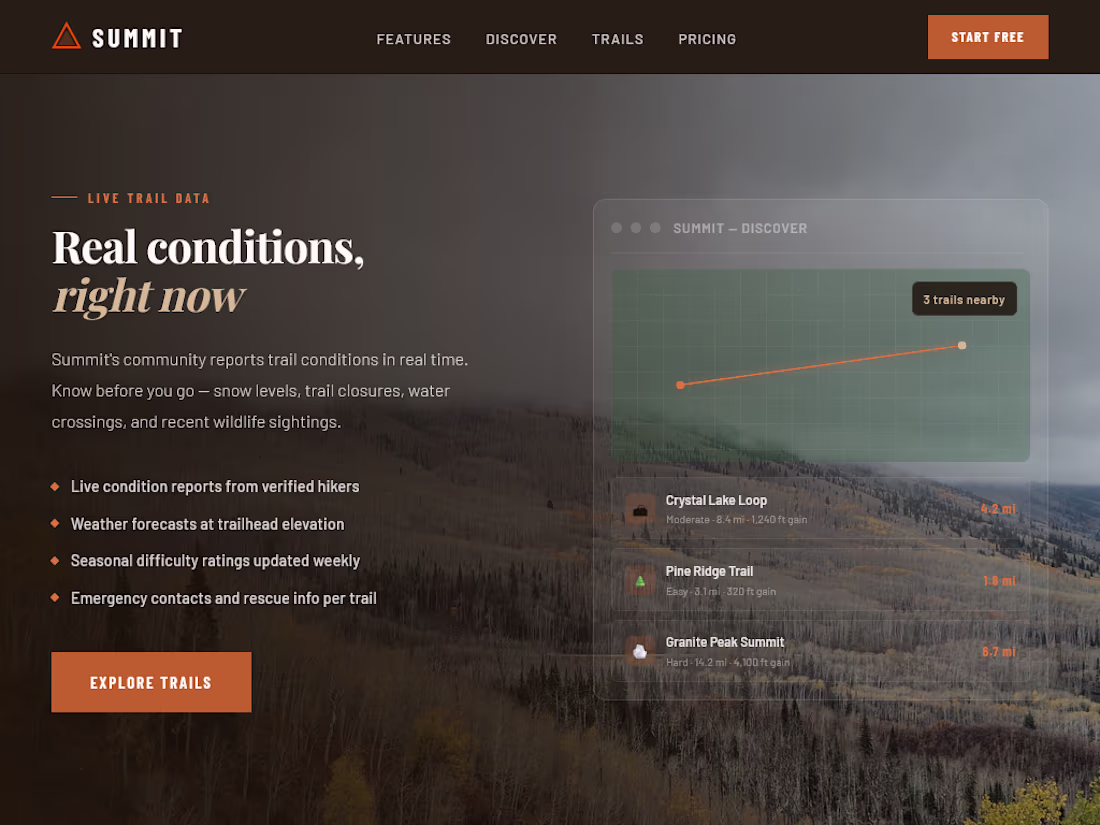 Cover image for Summit is a trail discovery