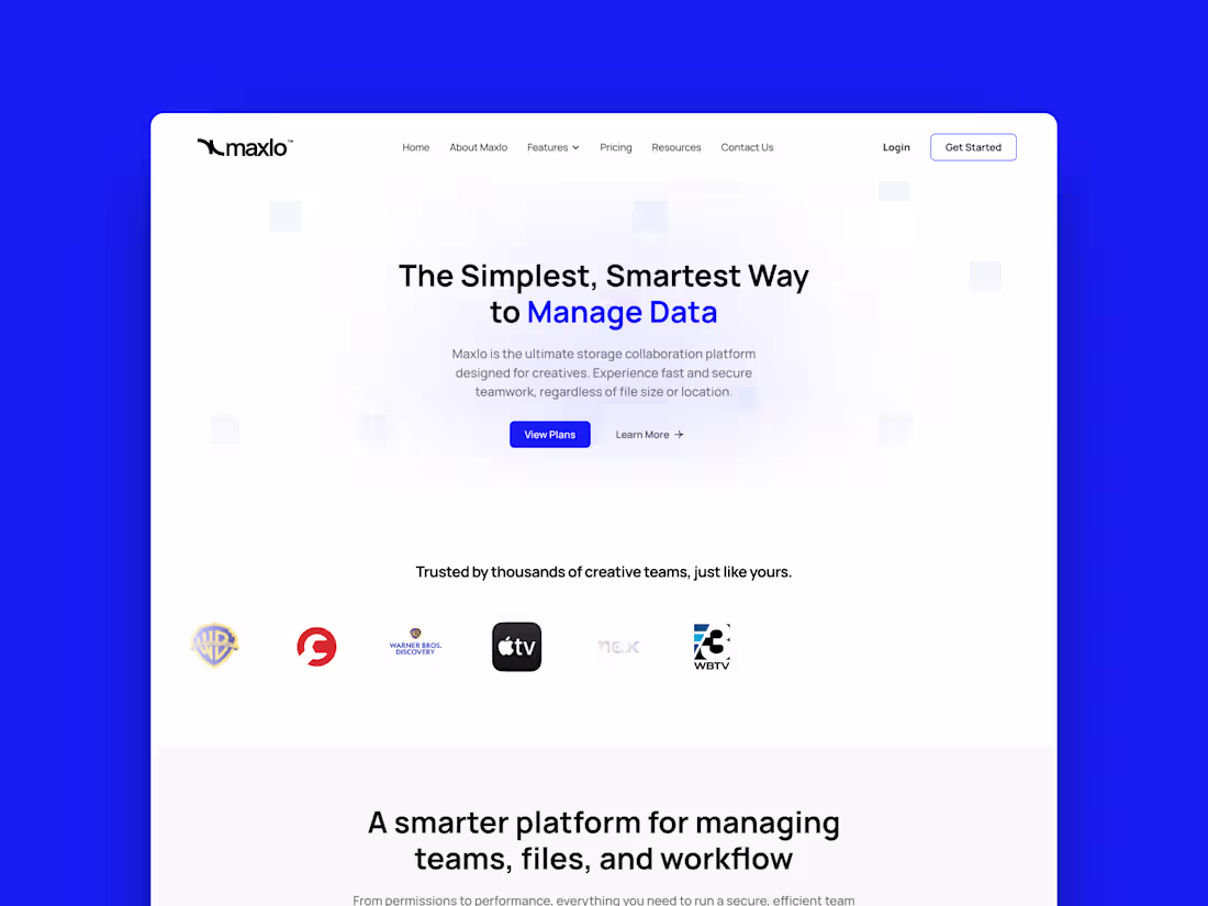 Cover image for Maxlo — Framer Website Build & Interactive Components