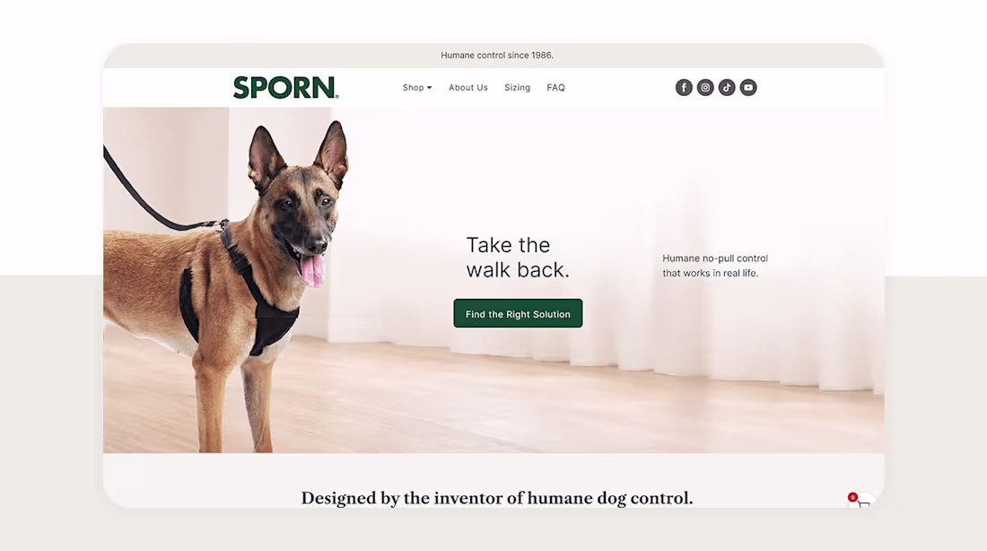Cover image for Developed the Sporn e-commerce website,