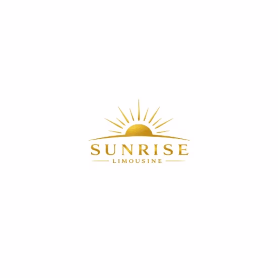 Cover image for Sunrise Limousine is a professional